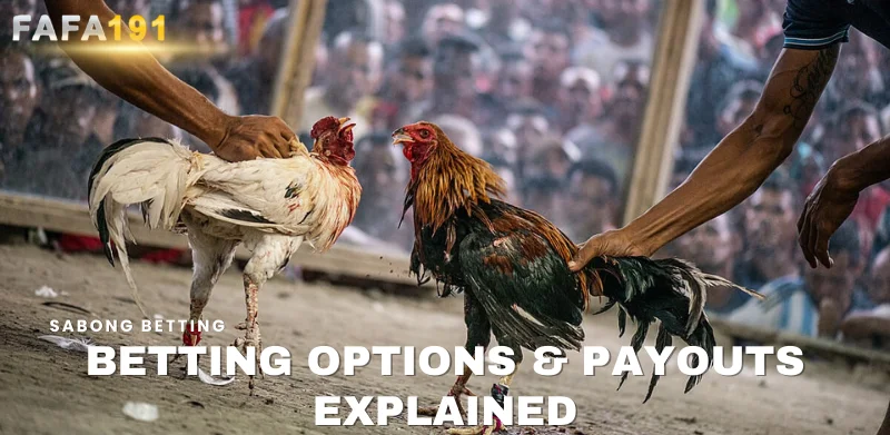 betting options and payouts explained