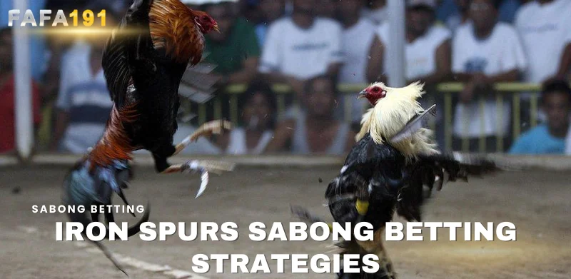 iron spurs sabong betting strategies