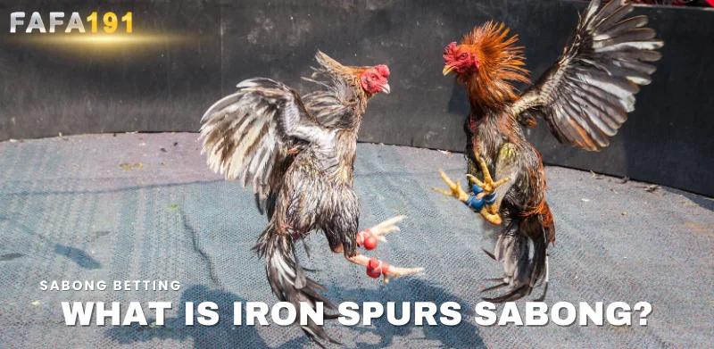 what is iron spurs sabong